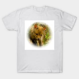 Red fox cub T-Shirt